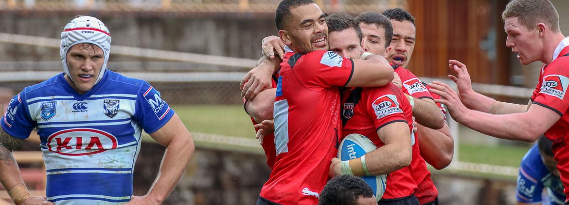 Image: Try for Connor Tracey - Intrust Super Premiership | North Sydney Vs Canterbury-Bankstown | North Sydney Oval. Photo Steve Little.